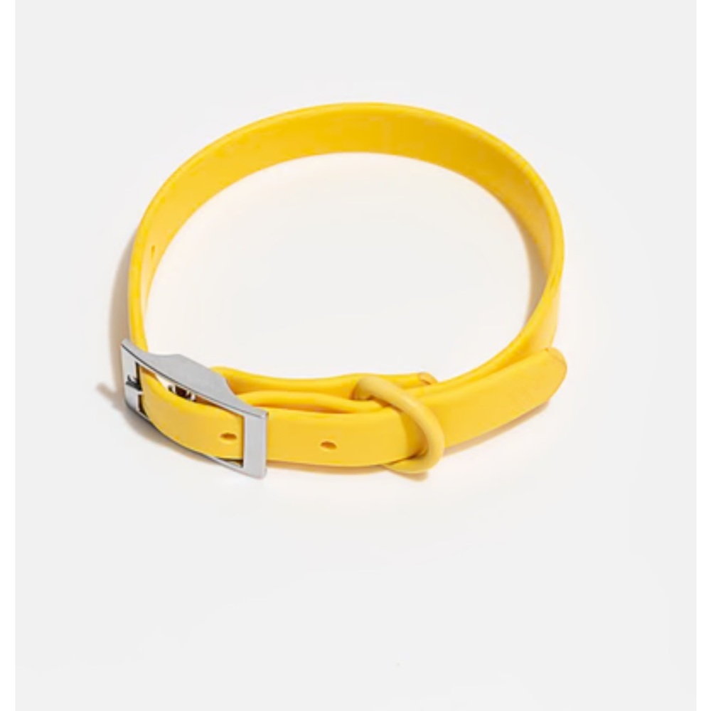 Wild One Dog Collar - Limited Edition Color